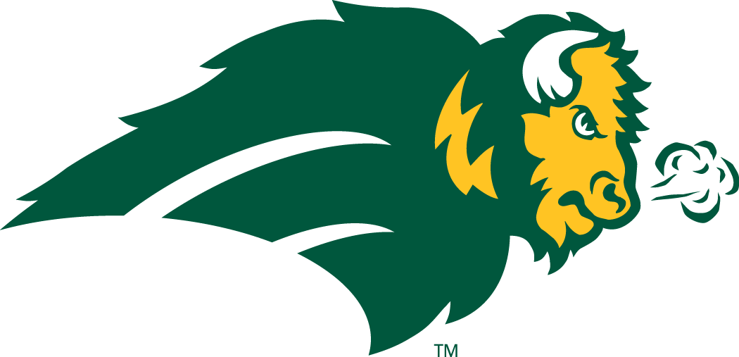 North Dakota State Bison 2005-2011 Alternate Logo 02 iron on paper